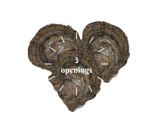 Load image into Gallery viewer, Oyster Opening