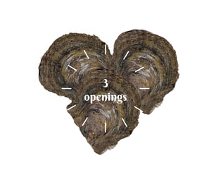 Oyster Opening